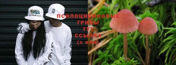 стаф Иннополис