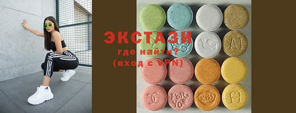 ECSTASY Каменка