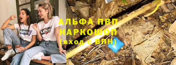стаф Иннополис