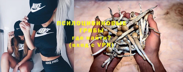 стаф Иннополис